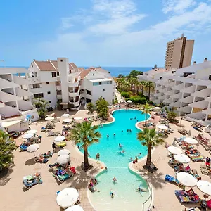 Paloma , Los Cristianos (Tenerife) Spagna